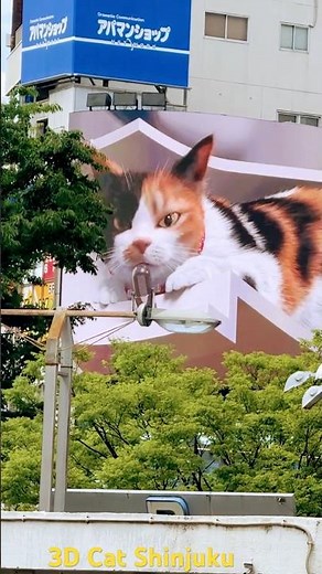 🐱 Giant 3D Cat in Shinjuku Tokyo | Japan’s Most Famous Billboard