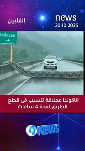 Ahmed Shalaby on Reels