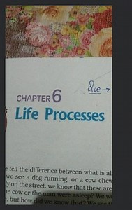 CHAPTER 6 Life Processes e tell the difference between what is ... | Filo