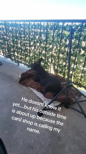 Finding Heat at the Card Shop: A Sports Card Adventure