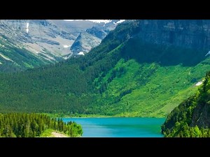 Top 5 Most Beautiful Forests in the World | Relex with nature