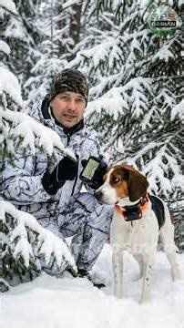 Карты охотника для Garmin