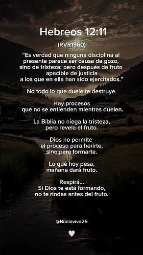 Hebreos 12:11 —Dios tambien nos forma en el dolor 🤍📖