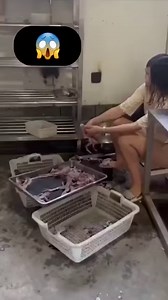 Why do they skin frogs alive 😱😭🐸❓️ Eating live #animals is a traditional practice in most Asian food cultures. Although it is forbidden in some religions to eat live animals, some consider it a real delicacy as they believe the meat tastes better when still alive.🐸😱 Cooked frogs are not the preserve of the French: they are a Chinese delicacy too. In fact if anything they are more commonplace in China: you’ll see regular mom-and-pop restaurants offering all sorts of bits of bullfrog, cooked 