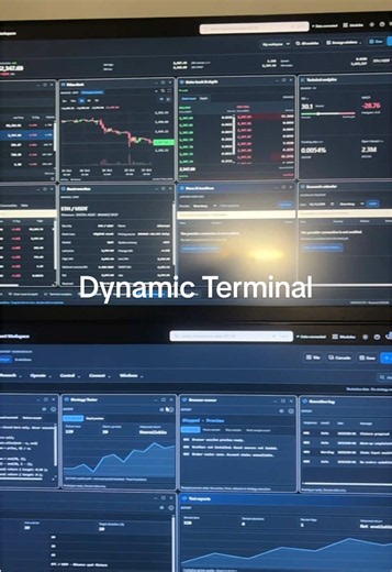 Dynamic Terminal (DTE) adalah Software-as-a-Service (SaaS) data layer 1 market crypto berbasis terminal. Ide DTE sudah ada sejak Agustus 2025, total waktu pengembangan sejauh ini tembus 6 bulan, belum komersial hingga Oktober 2026. DTE didirikan dengan tujuan untuk memberikan data cutting edge one stop solution di market crypto. Pengembangan DTE akan terus berlanjut hingga mencapai level Institutional grade terminal, dengan resiko kegagalan disebabkan oleh keterbatasan skill terhadap pengembanga