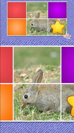 Baby's First Words | Learn Animal Names with Fun Letters Baby TV