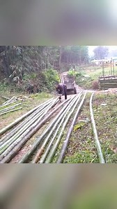 7.2K views · 148 reactions | How To Building Bridge With Bamboo & Many Stone part2 #build #farm #farmlife #garden #ferme #fazenda #bauernhof | Alison Netherveth | Facebook