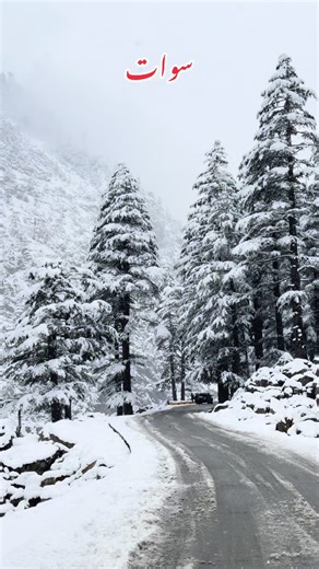 Booking Swat Tours: Your Gateway to Adventure