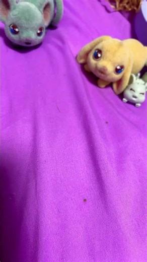 Ay, yo sibling anthem check