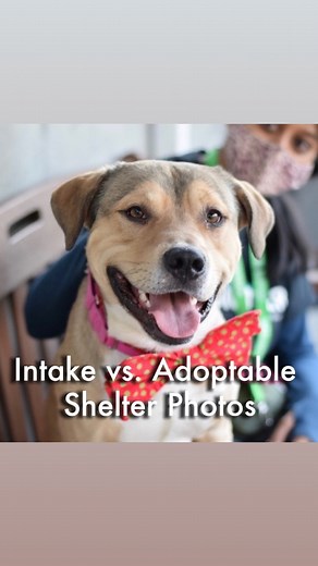 470K views · 1K reactions | We are so grateful for our wonderful...