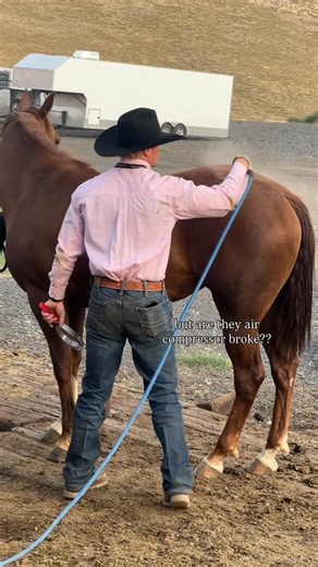 Thackeray & Thackeray | Nor•Cal 𐚁 on Instagram: "Some air compressor ASMR for your morning scroll . . . Getting em gentle and clean over at Diamond T! Wilard cleaning off Addie for some post Round Up roping the dummy shenanigans."