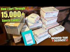 How I Sort Through a Sports Card Collection of 15,000+ Cards! *Behind The Scenes*