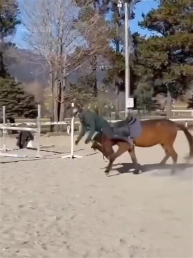 Don’t Forget to Like & Subscribe for More Comedy 😂 | Comedy Frank