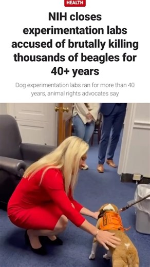 Former Rep. Marjorie Taylor Greene | Mr. Fauci’s evil lab has FINALLY been shut down. 👏 Beagles & dog owners across America are celebrating the END of this cruelty. I had the... | Instagram
