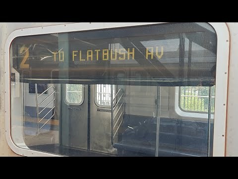 NYC Subway IRT R142 (2) Train Full Ride From Wakefield - 241 St to Flatbush Av - Brooklyn College