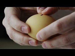 Physical and Chemical Changes