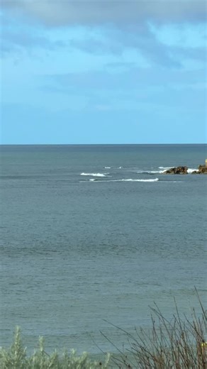 62 reactions | Tuesday…not much going on. | Surfcoast Surf Report | Facebook