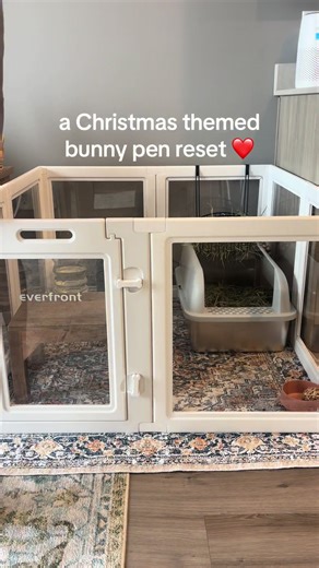 Christmas-Themed Bunny Setup