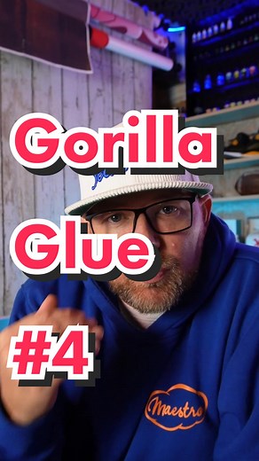 Exploring Gorilla Glue #4: Chem's Sister x Sour Dubb, Chocolate Diesel Cross