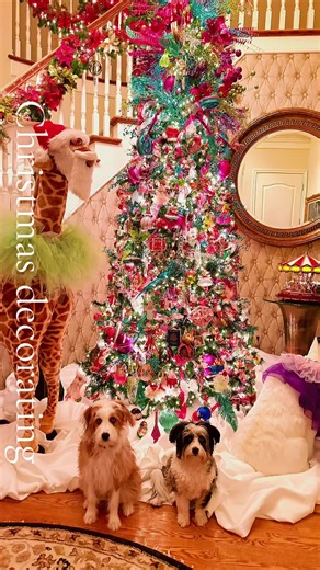 Life could be a dream, just think out of the box and use things that you have around the house to decorate your home for Christmas. This year I had overflow and stock of large stuffed animals that were used in a circus theme for Halloween this year welcome to my foyer. It’s very whimsical with my daughter’s ornaments on the tree. #ChristmasDecorator #ChristmasTree #ChristmasTikTok #WhimsicalTree #ChristmasIsComing