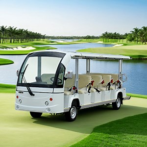 [Hot Item] Standard Sightseeing Car Marshell Container CE Tourist Bus Beach Buggy