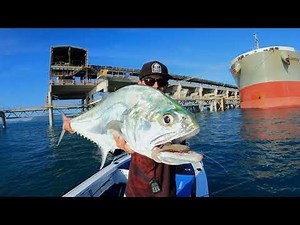 Curly Vibe 2.0 In Action | Chasebaits