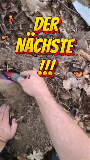 🪏 der Nächste 🪏 #sondeln #metaldetecting