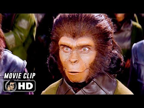 'Damn Dirty Apes!" PLANET OF THE APES Scene (1968) Charlton Heston