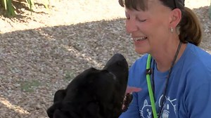 ARIZONA HEART & SOL: PACC volunteer helps dogs become more adoptable