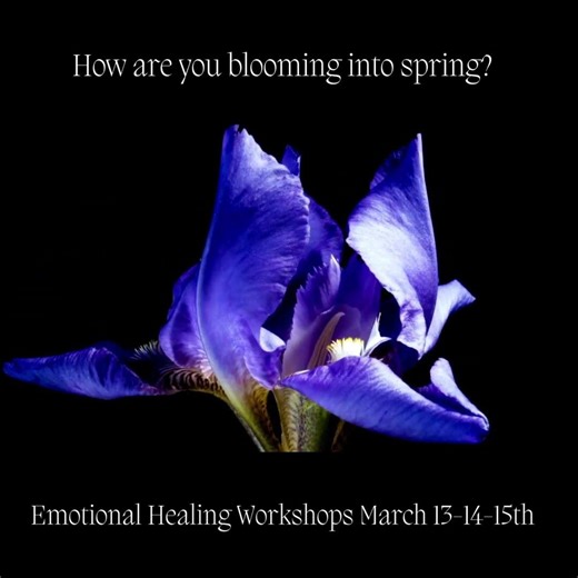 March 13th, 14th & 15th Emotional Healing Workshop! #emotionalhealing #aromatherapy #energyhealing