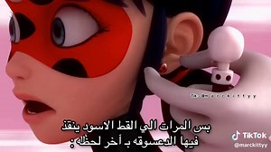 الدعسوقة والقط الأسود: أحداث مشوقة في الموسم السادس