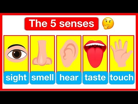 5 Senses Full Video | Sight 👁️ , Smell 👃, Hearing👂, Taste 👄, Touch ✋ | Easy Learning Video