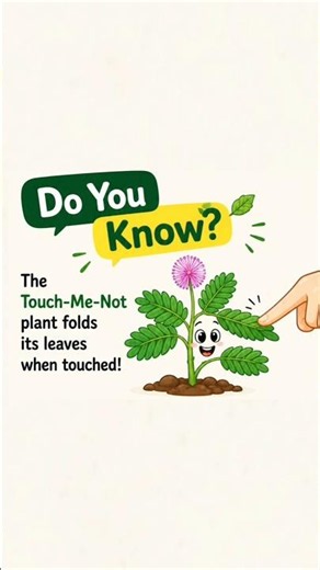 🌿 Don't Touch Me! The Science Behind This Amazing Plant#facts