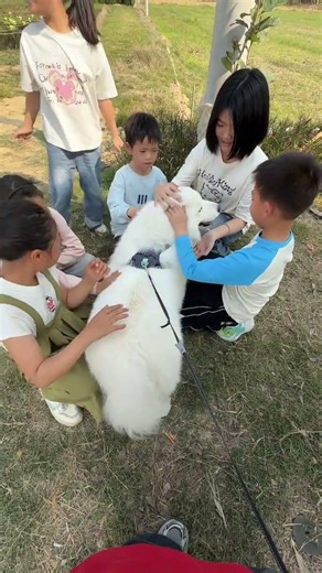 Family Spring Flower Adventure: Join Me