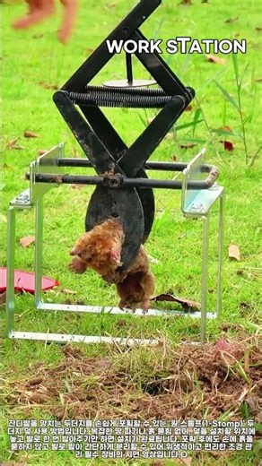 발로 밟아 끝내는 초간단 두더지 덫 설치 및 해체 시연 #worker #process #moletrap #lawncare #pestcontrol
