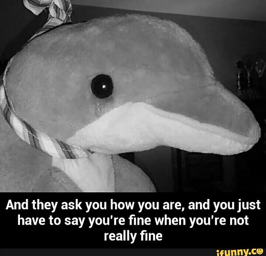 "They Ask You How You Are and You Say That You're Fine" | Know Your Meme
