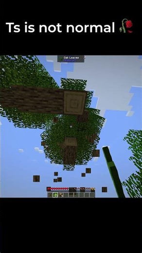 Ts is not normal 🥀