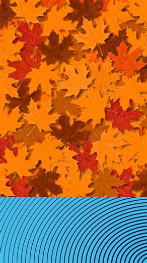 Switch to Allstate and you could save $671* on home insurance today. | Allstate