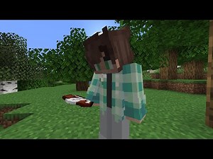 how I write scripts for minecraft videos