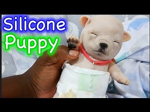 Silicone Baby Puppy Box Opening Mini Silicone Baby Pug! Cute Life Like Dog!