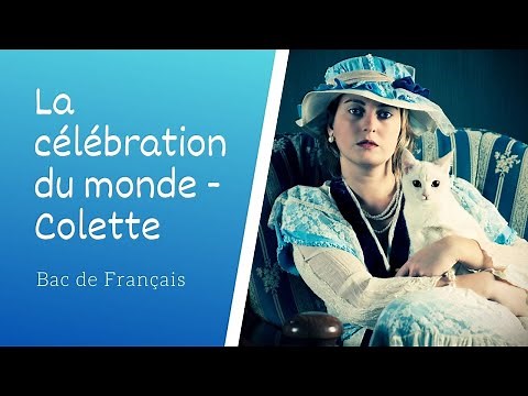 Analyse des oeuvres de Colette Sido et Les Vrilles de la Vigne | Parcours La célébration du monde