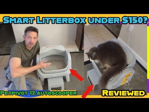 All cat owners need a ??? PetPivot AutoScooper 12 Unboxing & Review | Automatic Self-Cleaning