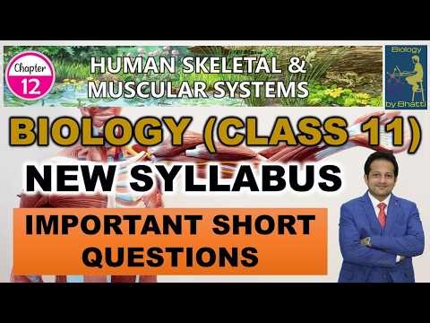 Class 11 New Biology Chapter 12 Short Question Answer | HUMAN SKELETAL AND MUSCULAR SYSTEMS