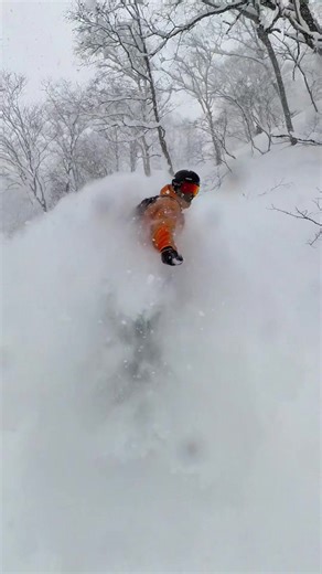 White Walls All Day! So Deep! Japan Snowboarding! https://youtu.be/ba-bK0_3yi4 Visit ’Snow for the Soul’ on YouTube for more videos. #snowboarding #snowboardlife #japansnowboarding #powdersnowboarding #powderhounds