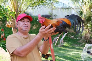 7.7K views · 405 reactions | S U P E R B R O W N R E D Super...