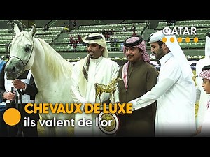 Ces vedettes vivent dans une écurie majestueuse à 700 millions €