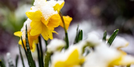 Rare split in Polar Vortex to usher in warm weather across winter-weary Eastern US near beginning of March