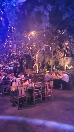 Rainforest Cafe Animal Kingdom Disney