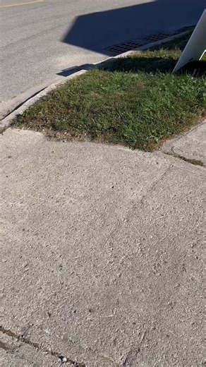 Orillia Thrift Store on Reels