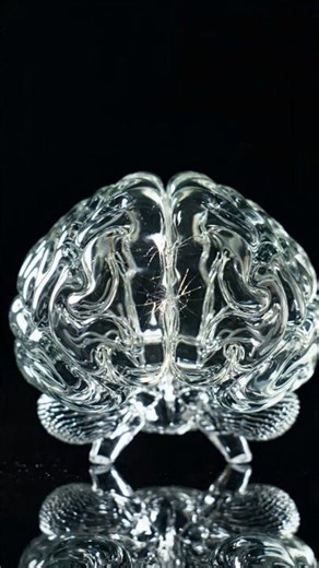 Glass Brain Cutting Ai video #shorts #tranding #viral #ai #youtubeshorts #brain
